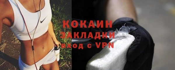 индика Баксан