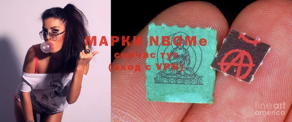 индика Баксан